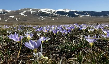 Kars'ta nisan ayında iki mevsim bir arada yaşanıyor