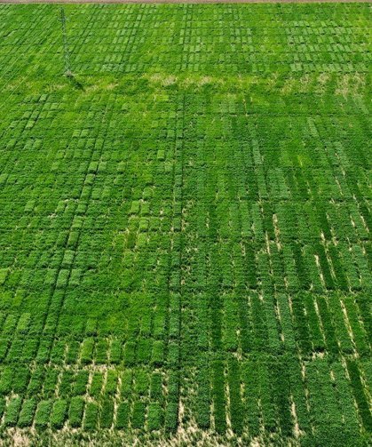Tarımda Planlı Üretim Yapanın Mazotu Devletten!