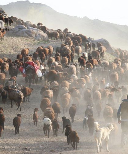 Türkiye'nin Göç Haritası: 2025 Raporu Açıklandı