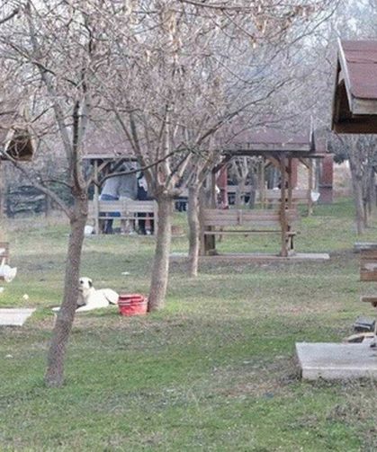 Doğada Keyifli Bir Gün İçin Bu Kurallara Dikkat!