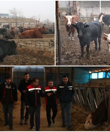 Erzincan’da Besi İşletmeleri Denetlendi