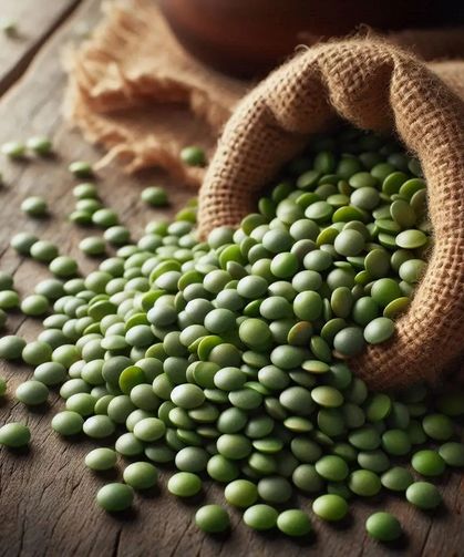 Yeşil Mercimek: Anadolu’nun Bilimsel Gücü