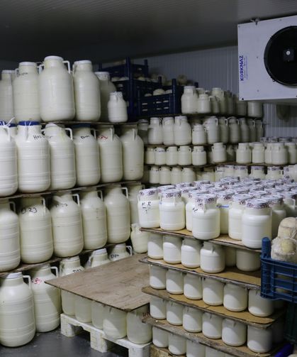 Erzincan Tulum Peyniri’nin İzinde: Üretim Tesislerinde Denetim ve İnceleme