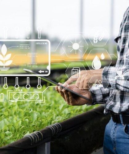 Tarlada Dijital Devrim: Sensörlerden Yapay Zekâya Yeni Nesil Tarım Dönemi