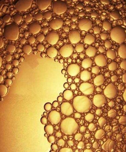 Zehir mi Şifa mı? Bir Bitkiden Doğan Nano Dünyanın Sınırları