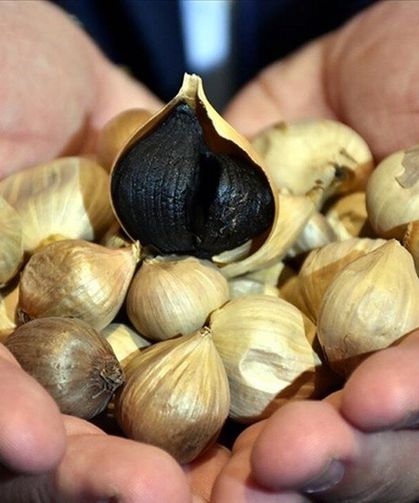 Mutfaktaki "Şifa" Zehre mi Dönüşüyor?