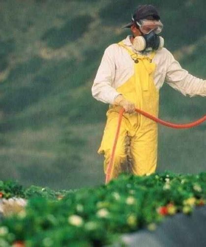 Toprağın Görünmeyen Tehdidi: Ağır Metaller ve Bitkisel Üretim