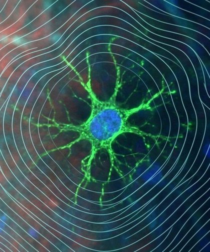 5G Hücrelerimizi Nasıl Etkiliyor?