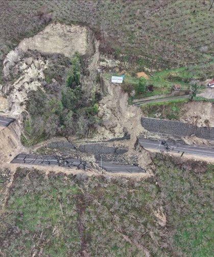 Doğanın Sessiz Gücünün Röntgeni Çekildi