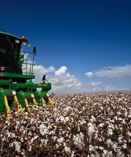 Tarımda Fiyat Baskısı Dinmiyor: Yıllık Artış Yüzde 43’ü Aştı