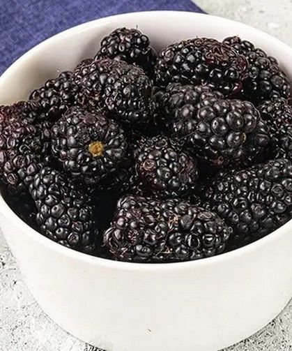 Böğürtlende Kaliteyi Uzatan Sır