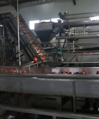 Limonata Endüstrisinin Atığı, Balık Yağının Taze Kalma Sırrı Oldu!