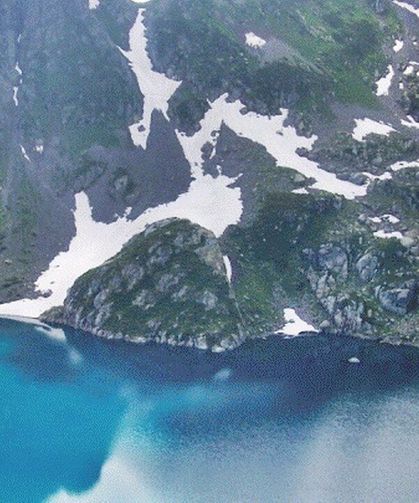 Buzul Göllerinin Altında Gizli Hazine: Bilinmeyen Türler Türkiye Florasına Eklendi!
