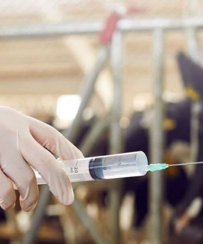 Tarım ve Orman Bakanlığı'ndan 688 Milyon TL'lik Tarımsal Destek Ödemesi