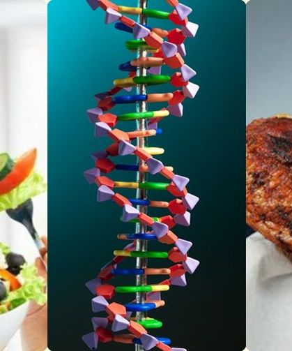 Vegan ve Et Yiyenlerin DNA’ları Karşılaştırıldı: İşte Yaşlanma Hızını Belirleyen O Gizli Faktör!