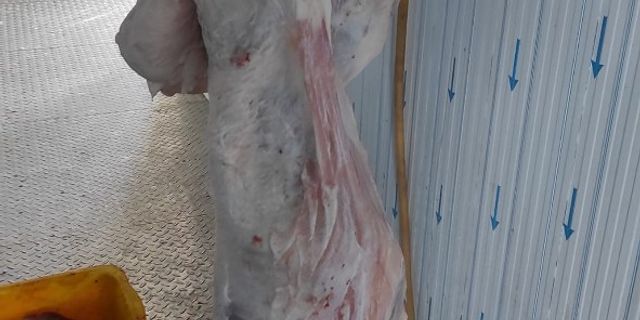 Kesilen koyunlar kavurma yapılarak depremzedelere gönderilecek
