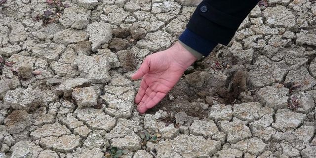 Erzincan'da olağanüstü kuraklık tehlikesi kapıda