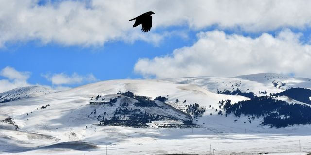 Doğu Anadolu'da soğuk hava etkisini sürdürüyor