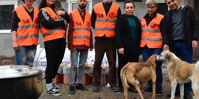 Eskişehirli hayvanseverler deprem bölgesindeki sahipsiz hayvanlara 1,5 ton mama ulaştırdı