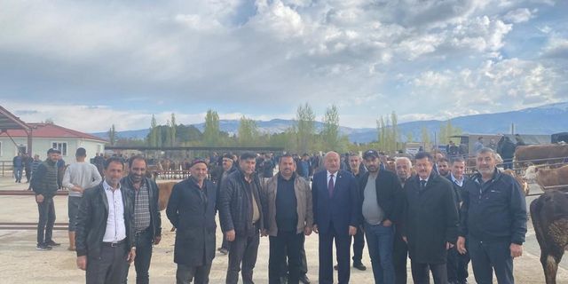 Hayvan pazarı yeniden açıldı