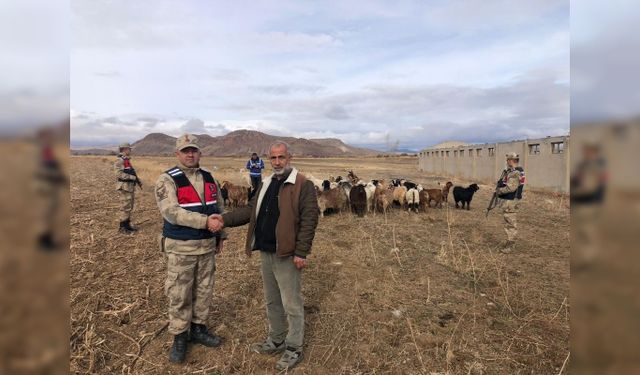 Erzincan'da jandarma çiftçinin kayıp 50 küçükbaş hayvanını dronla buldu