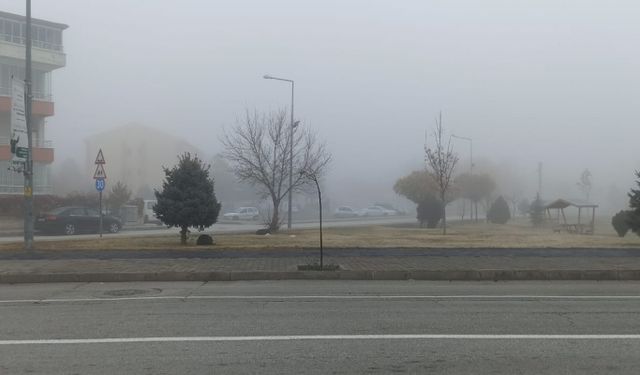 Erzincan'da yoğun sis etkili oldu