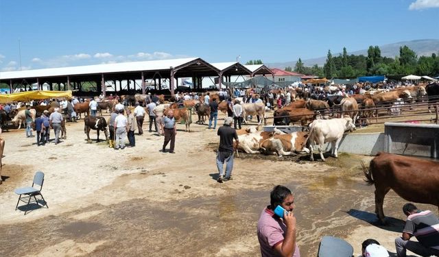 Şap hastalığı sebebiyle hayvan pazarı kapatıldı