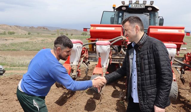 Çayırlı’da ayçiçeği ekimi başladı