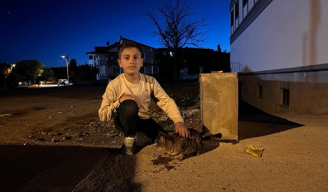 11 yaşındaki Berat’tan insanlık dersi; Sokakta bulduğu kediyi marketten doyurdu