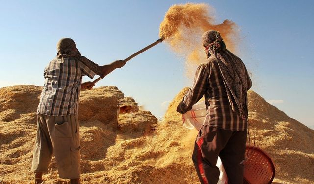 Tarımsal girdi fiyat endeksi yıllık yüzde 49,70 arttı