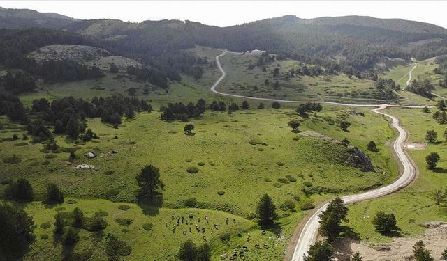 Meclisten Geçti: Erzincan Doğasındaki Kaçak Yapılar Yıkılacak
