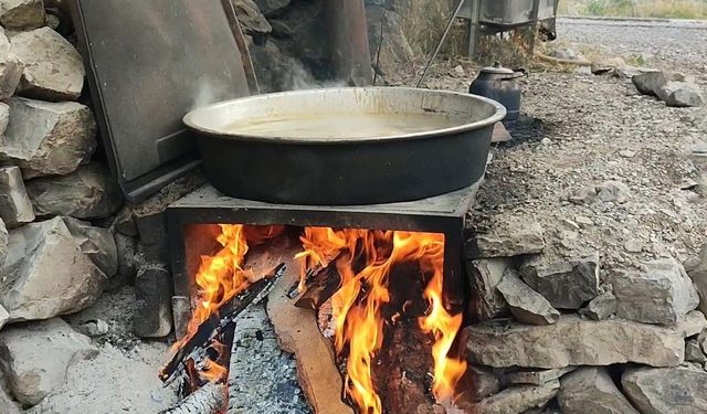 Geleneksel dut pekmezi yapımı başladı