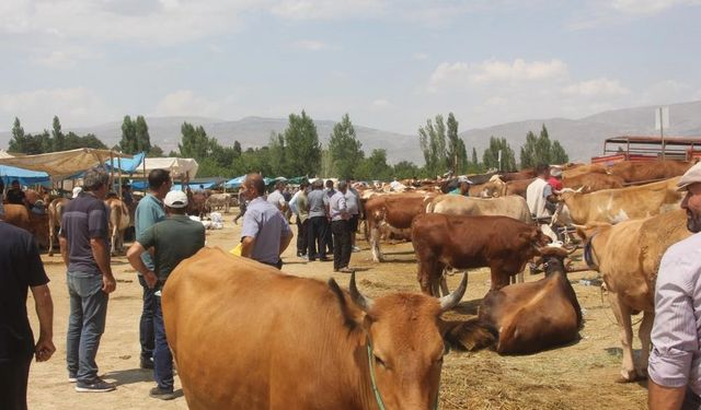 Kurbanlık Seçerken Dikkat Edilmesi Gerekenler