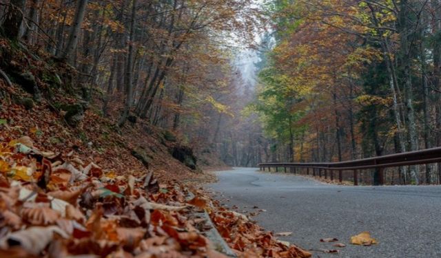 Ünlü şairlerin kaleminden yolculuk şiirleri