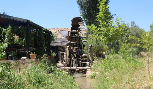 Bu su dolabı türünün son örneği