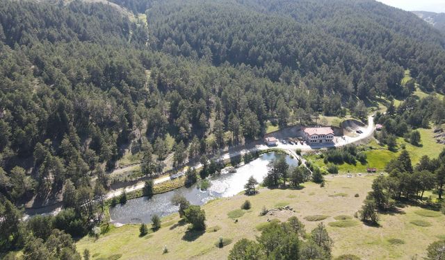 Dumanlı Tabiat Parkı serinlemek isteyenlerin yeni gözdesi