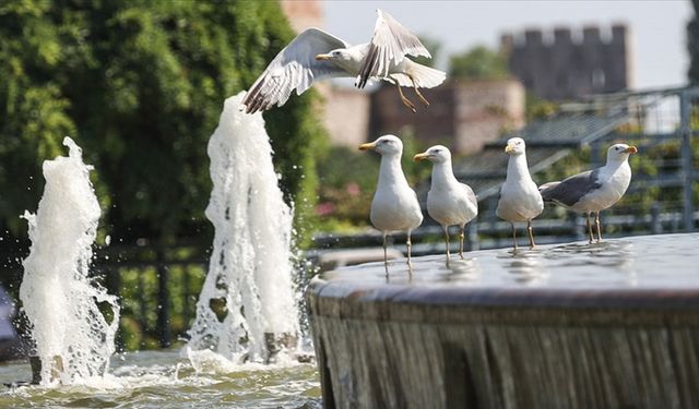 Eyyam ı bahur ne demek Eyyam ı bahur sıcakları nedir