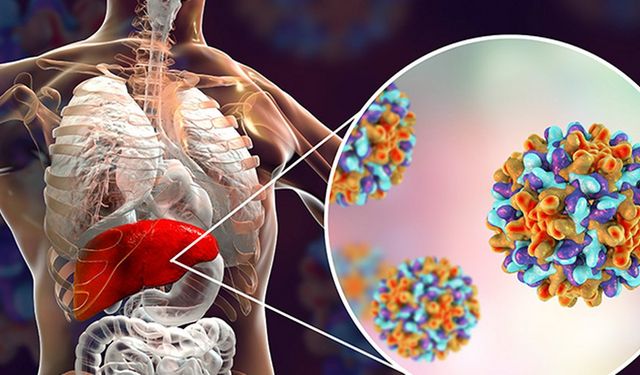 28 Temmuz Dünya Hepatit Günü  “Bilgilenin, Aşılanın, Korunun!”