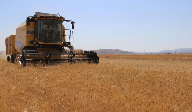 Biçerdöverlerin hasat sezonunda uyması gereken kuralları içeren tebliğ yayınladı