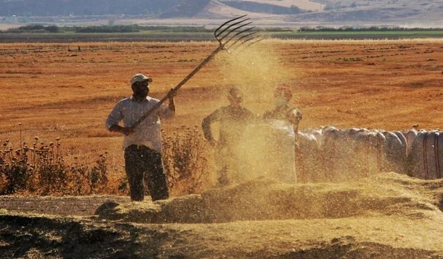 Tarımda üretici enflasyonu haziranda yüzde 57,93 oldu