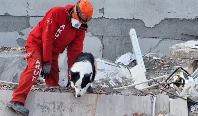 AKUT arama köpeklerini onlar besleyeceki