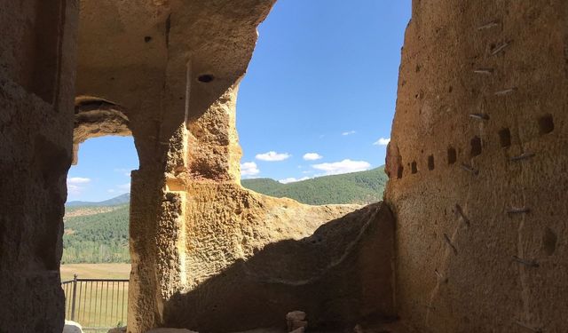 Tarihi Manastır bakımsızlıktan kuş yuvasına döndü