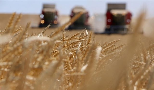 Çiftçilere tarımsal destekleme ödemeleri başladı