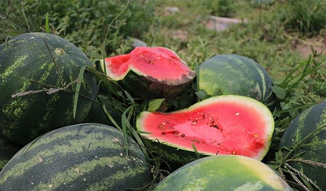 Karpuzun faydaları saymakla bitmiyor