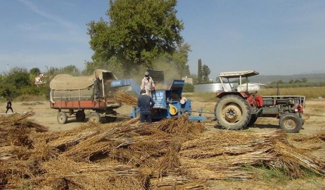 Çiftçilerin dikkatine! ÇKS kayıtları başladı, son tarihi kaçırmayın