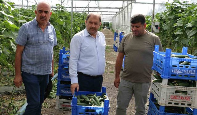 Tarımda üretim verileri açıklandı