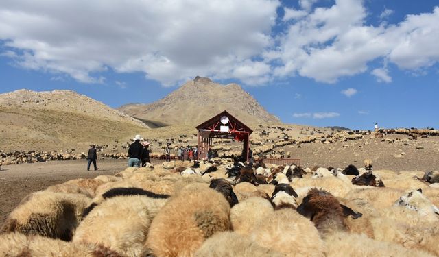 Tarımda "Sistematik Sağım Merkezi"