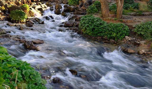 En yararlı su seçilen Munzur suyunun hayat iksiri olduğuna dair süregelen o efsane