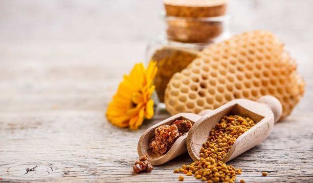 Propolis Ne İşe Yarar, Neye İyi Gelir?