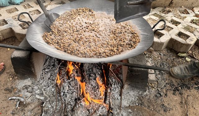 Tescilli Ağın leblebisinin zorlu yapımı başladı